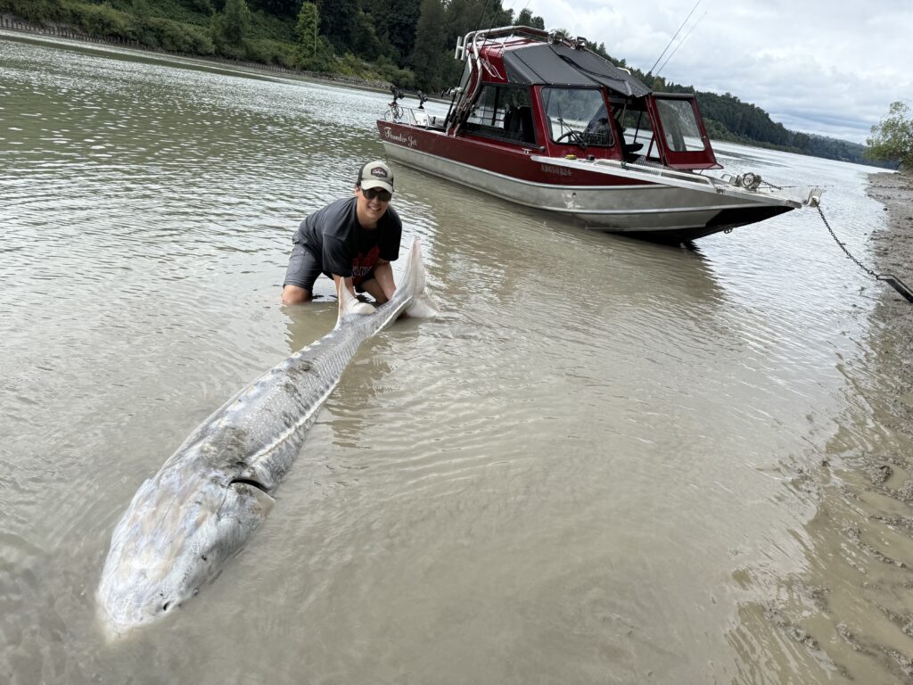 Fraser River Sturgeon Fishing Tours